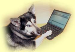 Webmaster mit Ahnung