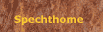 Hier geht es zur kleinen Webseite vom kleinen Specht